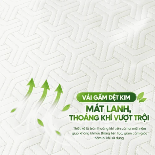Nệm Cao Su Foam N_Nightmare Gấp 2 Việt Thành Chính Hãng