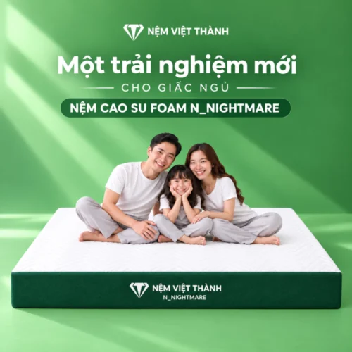 Nệm Cao Su Foam N_Nightmare Gấp 2 phù hợp với ai?